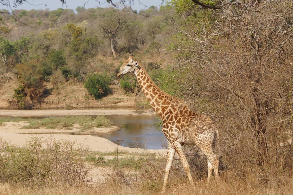 Kruger River Holiday Home Marloth Park Exterior photo