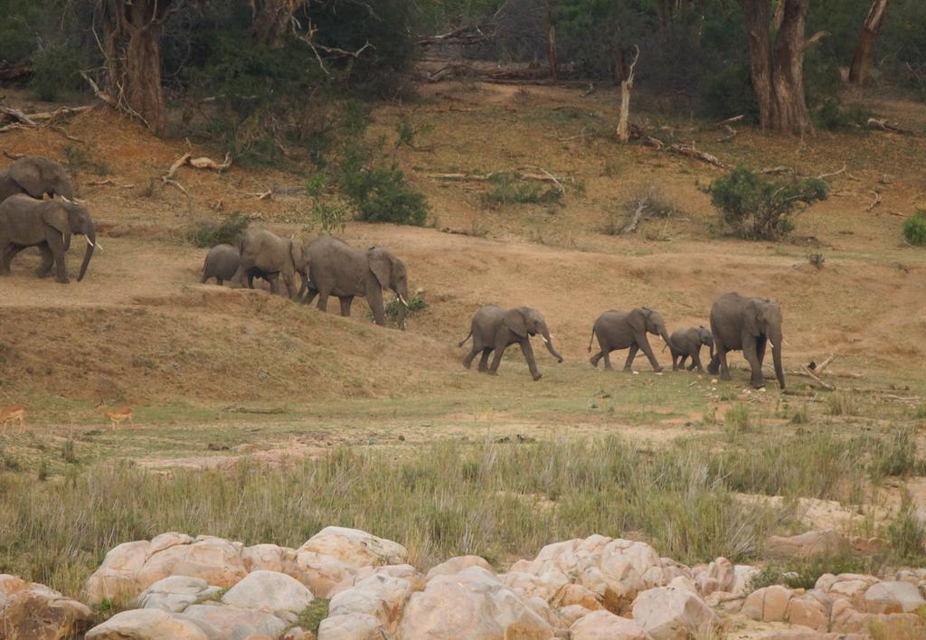 Kruger River Holiday Home Marloth Park Exterior photo